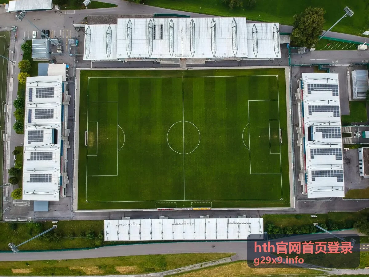 hth官网首页登录 登录流程指引图